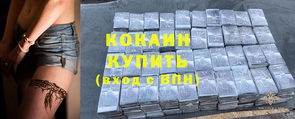 тгк Магас