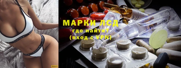 тгк Магас