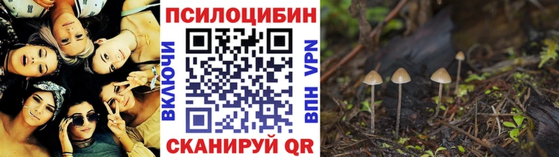 Галлюциногенные грибы Cubensis  купить закладку  Талдом 